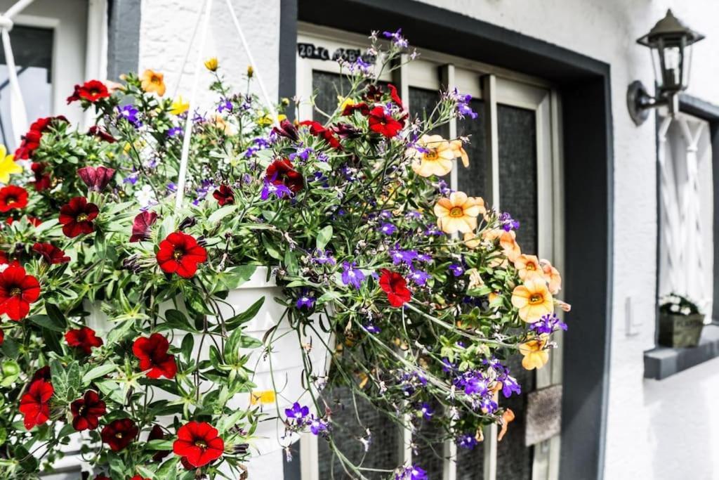 Schoenes Haus Mit Grossem Garten Seligenstadt Luaran gambar