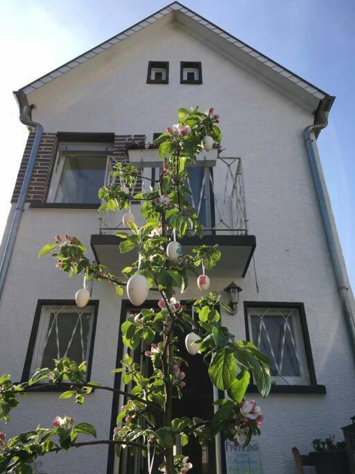Schoenes Haus Mit Grossem Garten Seligenstadt Luaran gambar